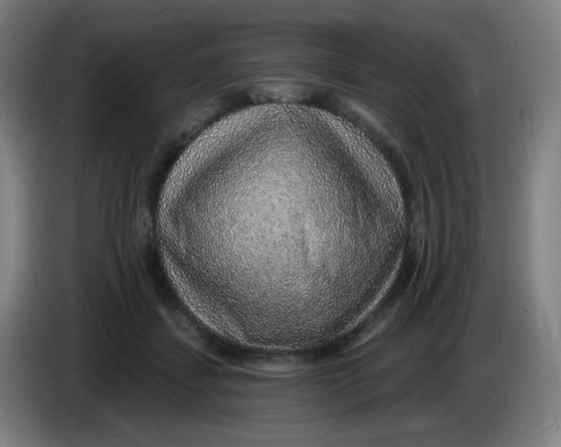 X0000085240459200703301751
