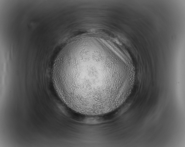 X0000085240461200703301751