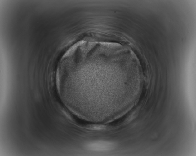X0000085240462200703301751