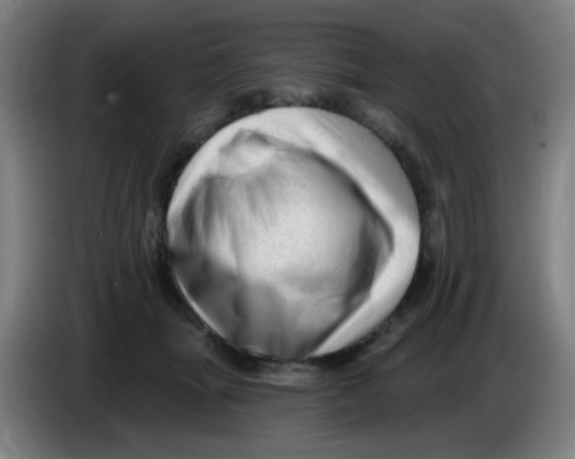 X0000085240463200703301751