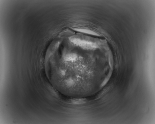 X0000085240465200703301751