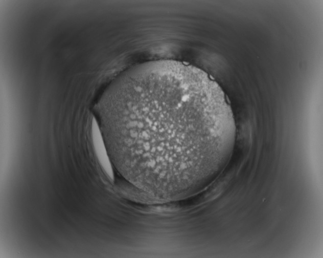 X0000085240466200703301751