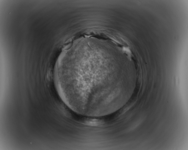X0000085240467200703301751