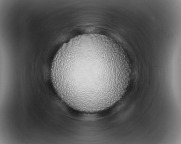 X0000085240469200703301751