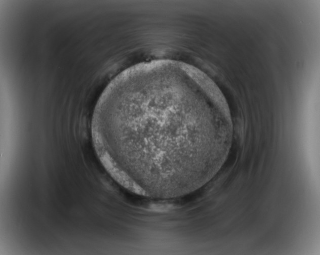 X0000085240470200703301751