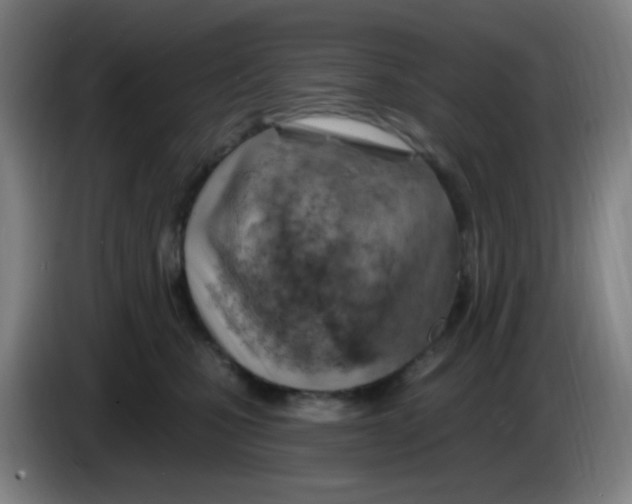 X0000085240471200703301751