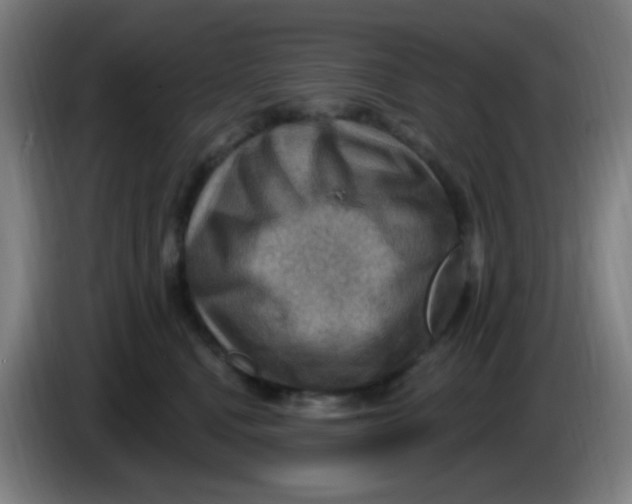 X0000085240472200703301751