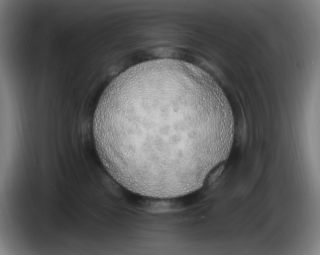 X0000085240473200703301751