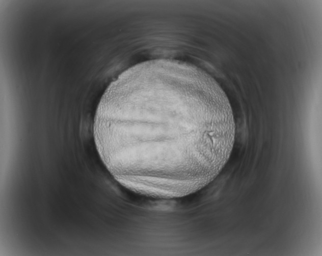 X0000085240474200703301751