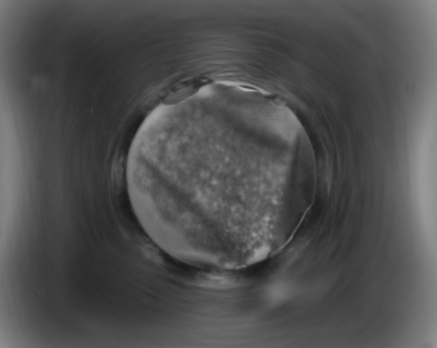 X0000085240475200703301751