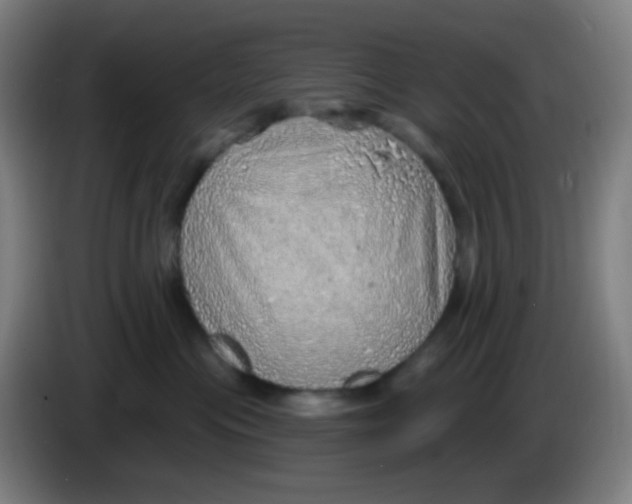 X0000085240477200703301751