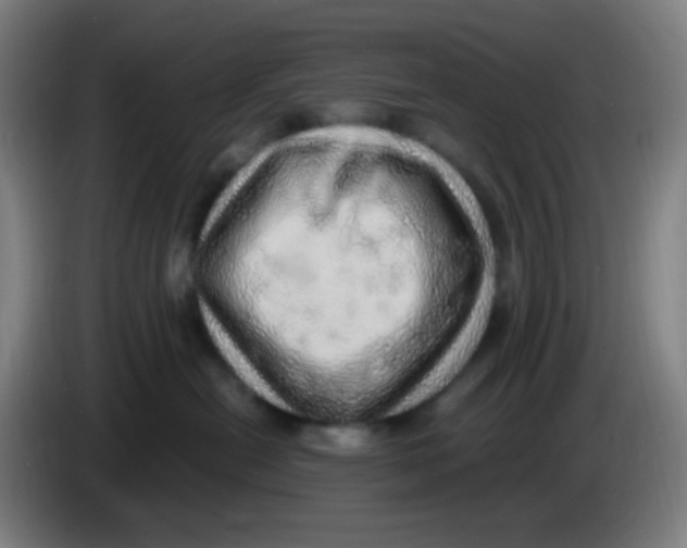 X0000085240478200703301751
