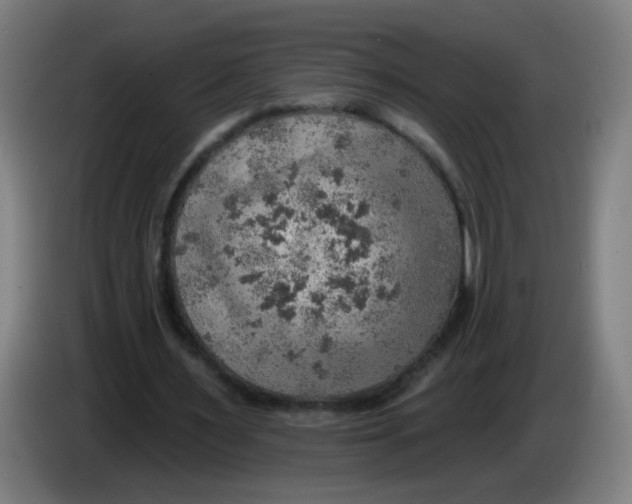 X0000085240483200703301751
