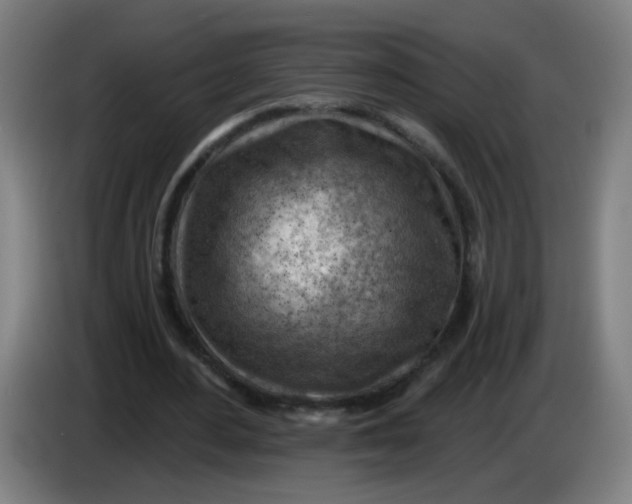 X0000085240484200703301751