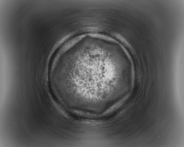 X0000085240486200703301751