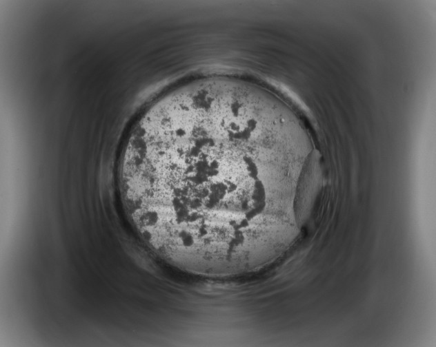 X0000085240487200703301751