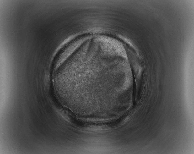 X0000085240488200703301751