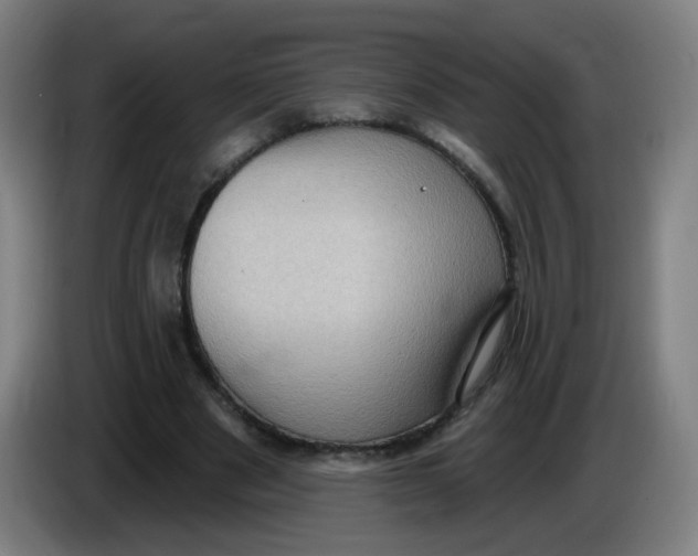 X0000085240489200703301751