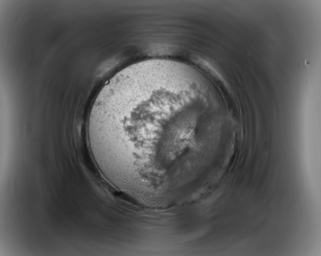 X0000085240491200703301751