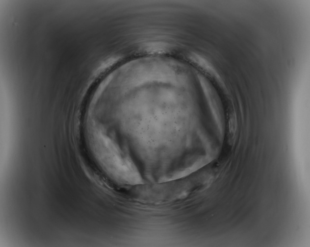 X0000085240492200703301751