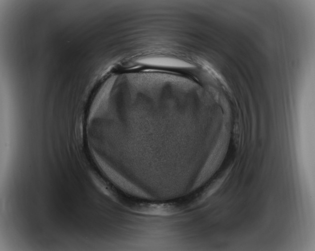 X0000085240493200703301751