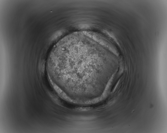 X0000085240495200703301751