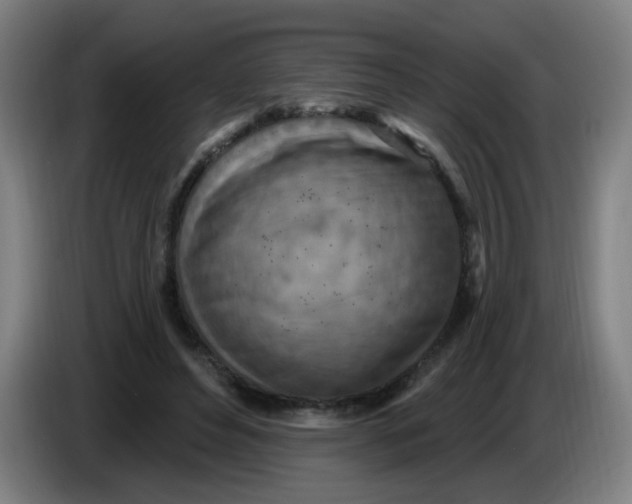 X0000085240496200703301751