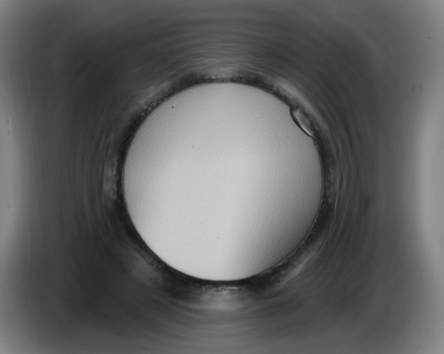 X0000085240497200703301751