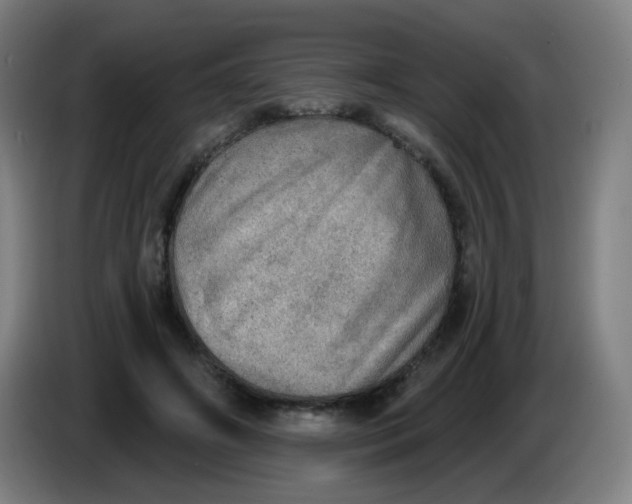 X0000085240498200703301751