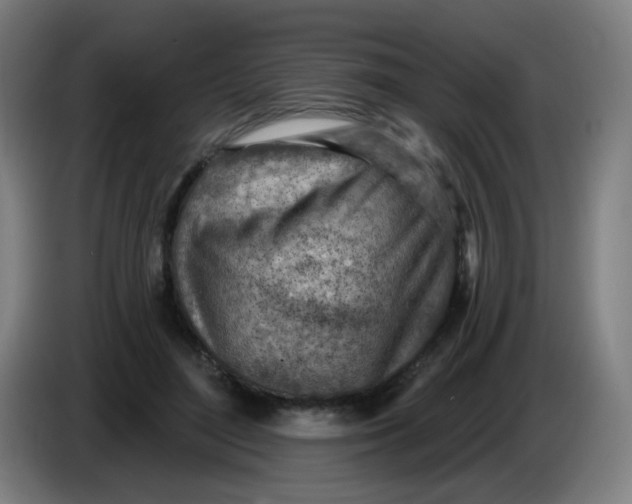 X0000085240500200703301750