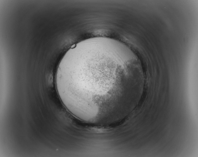 X0000085240502200703301750