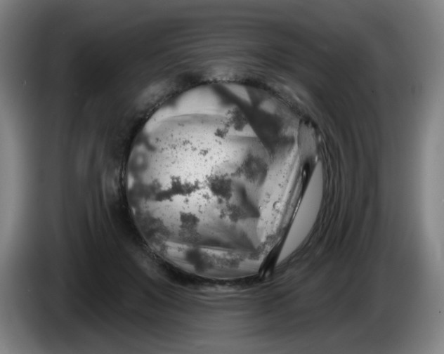 X0000085240503200703301750