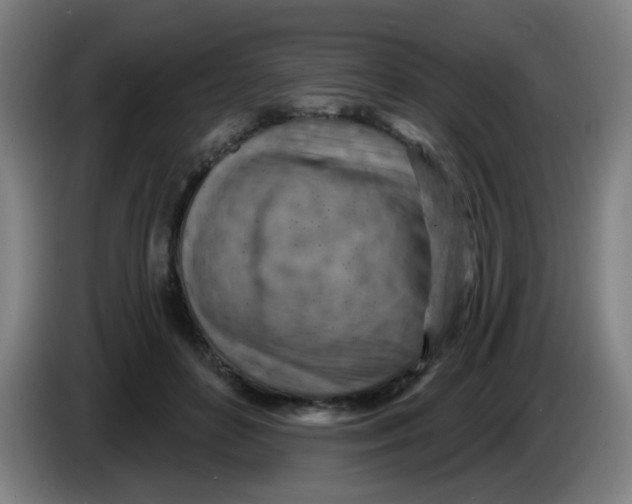 X0000085240504200703301750