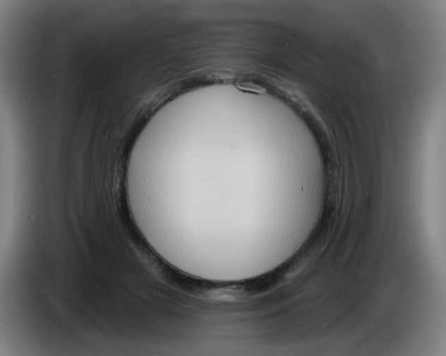 X0000085240505200703301750