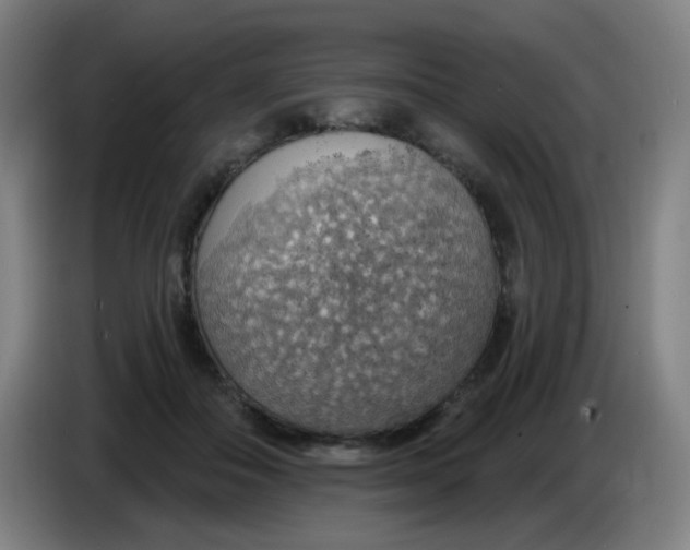 X0000085240506200703301750
