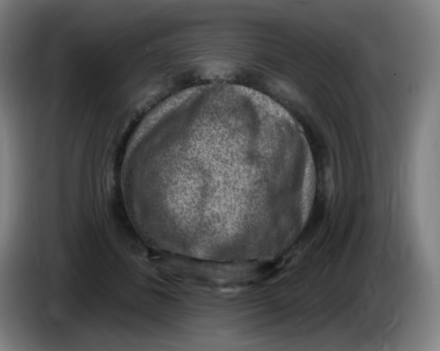 X0000085240508200703301750