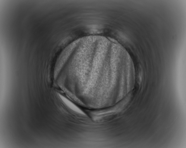 X0000085240512200703301750