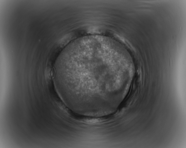 X0000085240513200703301750