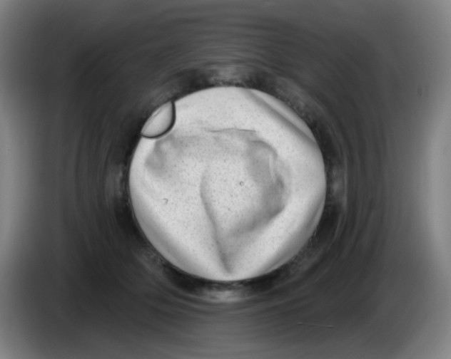 X0000085240514200703301750