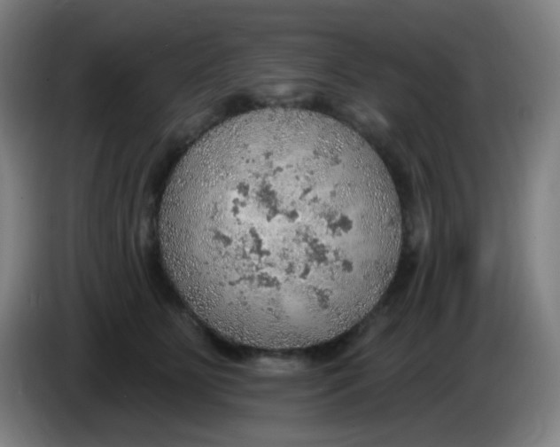 X0000085240515200703301750