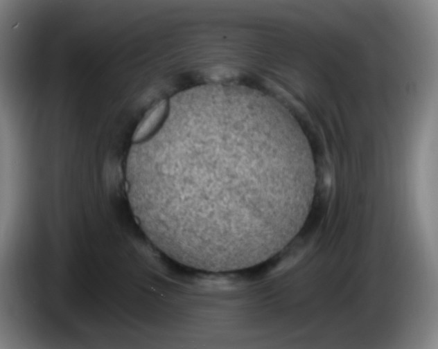 X0000085240523200703301750
