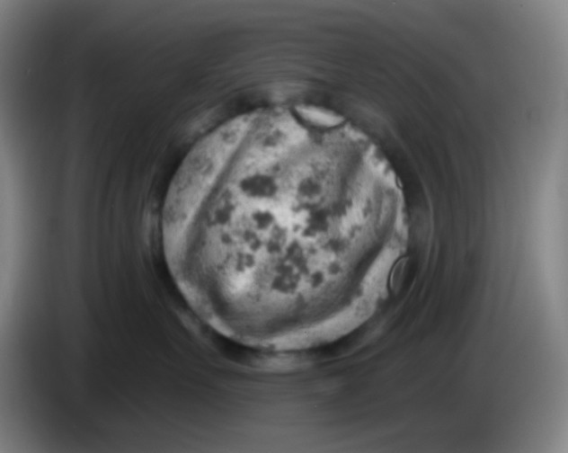 X0000085240527200703301750
