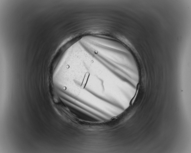 X0000085240530200703301749