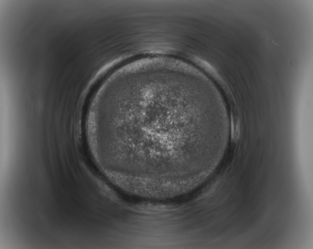 X0000085240531200703301749