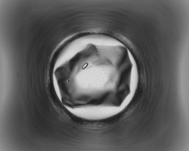 X0000085240532200703301749