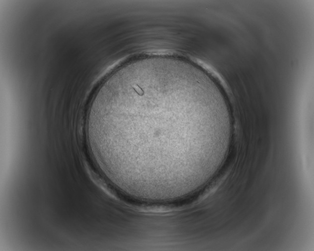 X0000085240533200703301749