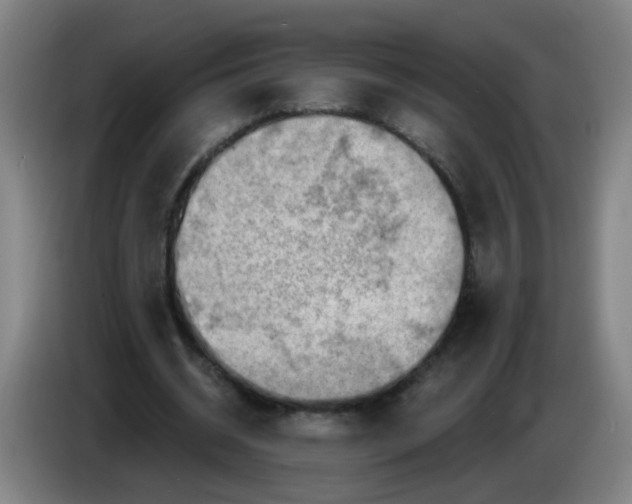 X0000085240534200703301749