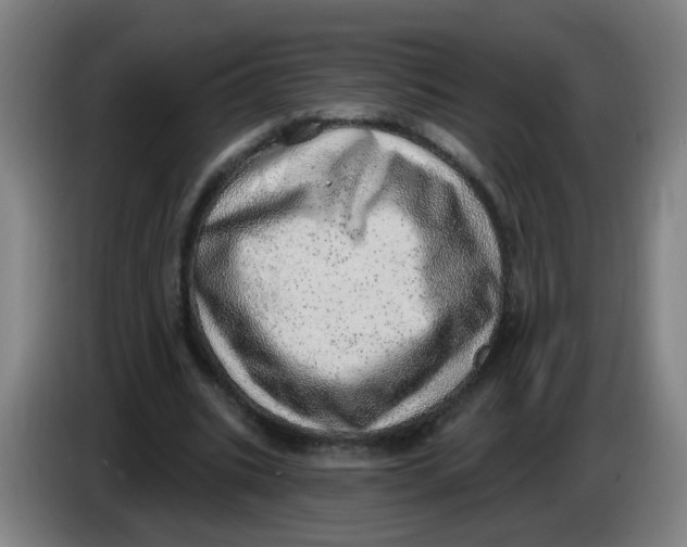 X0000085240535200703301750