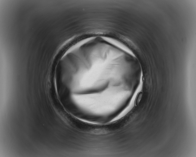 X0000085240536200703301750