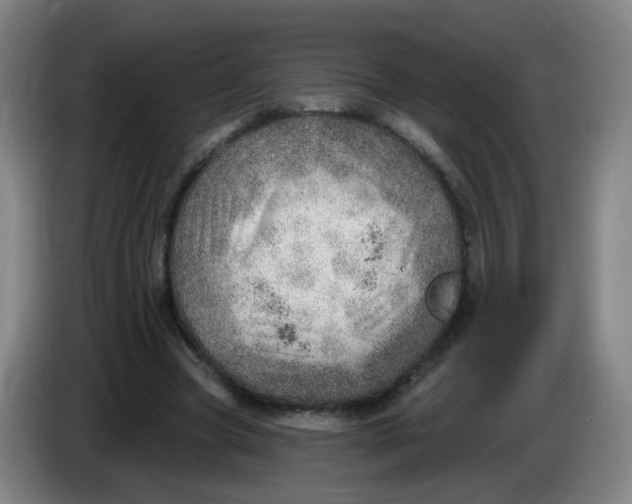 X0000085240537200703301750